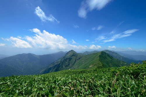 延々と続くクマザサの稜線と山峰を彩る登山道の風景
