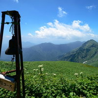 夏の高山稜線に続く登山道と道標の写真