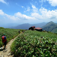 谷川の尾根を歩きクマザサが茂る登山道を山小屋を目指す登山者達の写真