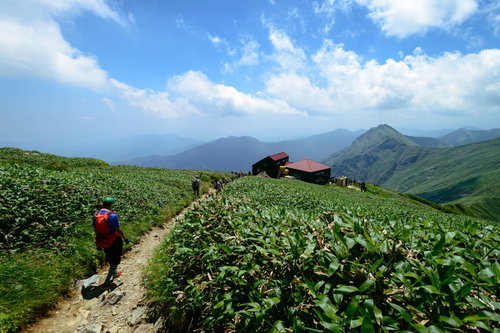 谷川の尾根を歩きクマザサが茂る登山道を山小屋を目指す登山者達