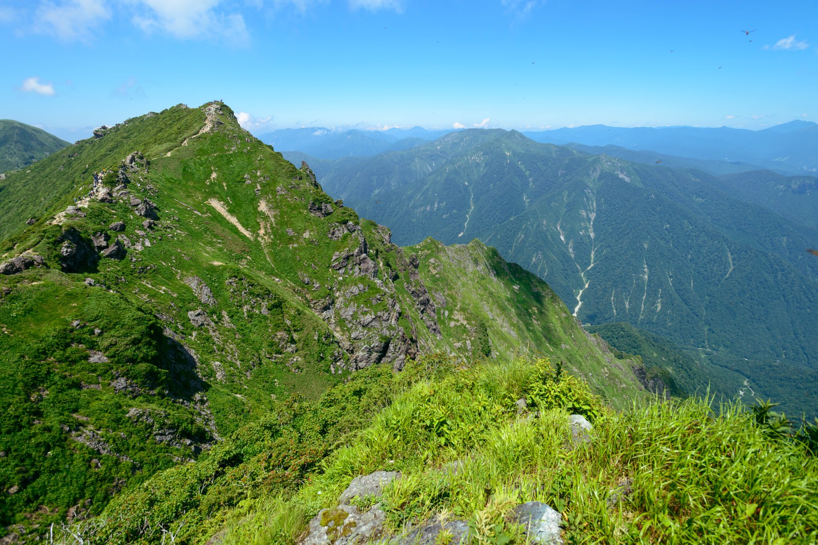 緑の山肌が美しい谷川岳のオキの耳と青空に浮かぶ雲
