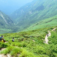 谷川岳の緑豊かな斜面でオキの耳を目指す登山者達の写真