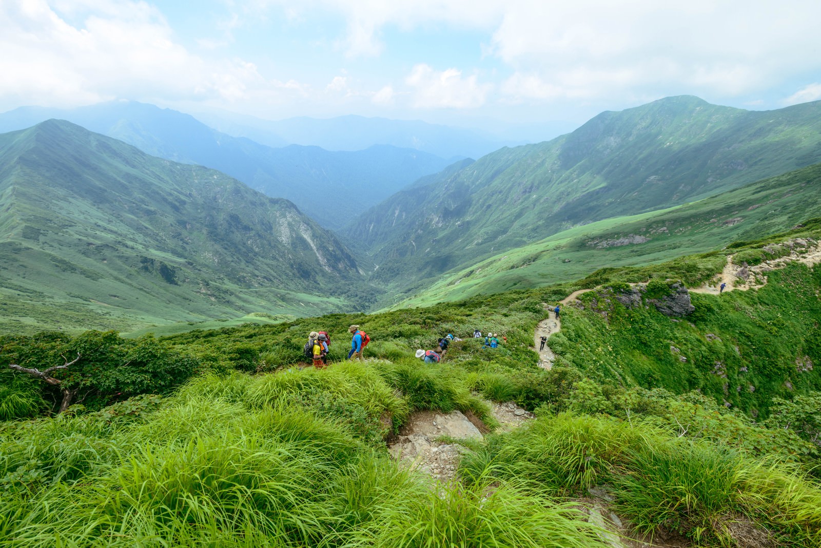 谷川連峰の緑の山稜に沿って続く登山道と山々の風景