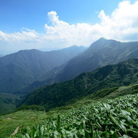 太平洋へ続く登山道から望む緑の渓谷と山脈の写真
