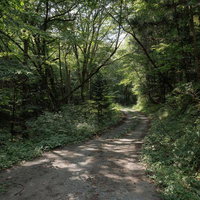 行司ヶ滝へ続く木漏れ日の里道を歩く福島県田村市のハイキングコースの写真