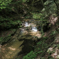 木漏れ日が溶け込む行司ヶ滝の清流と苔むした岩肌の写真