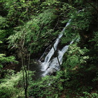 緑の木々に囲まれた行司ヶ滝の清水が階段状に流れ落ちる渓流風景の写真