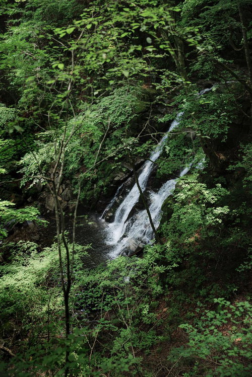 緑の木々に囲まれた行司ヶ滝の清水が階段状に流れ落ちる渓流風景