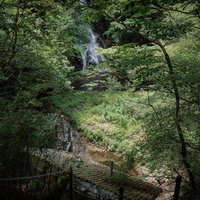 木々の隙間から見える行司ヶ滝の流れ、福島県田村市の渓谷の写真