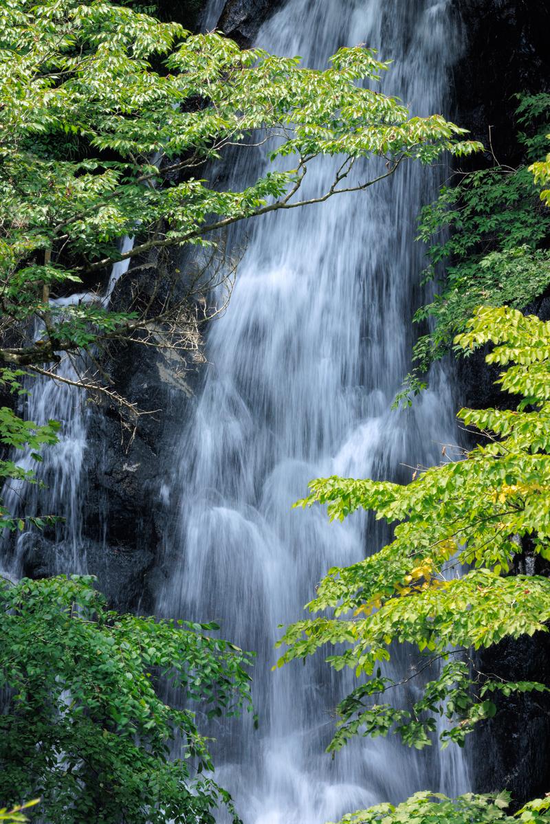新緑に囲まれた行司ヶ滝から白い水が岩肌を流れ落ちる