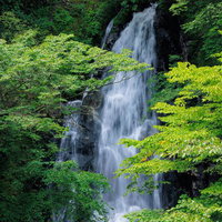 緑に囲まれた行司ヶ滝の勢いよく落ちる水流の写真