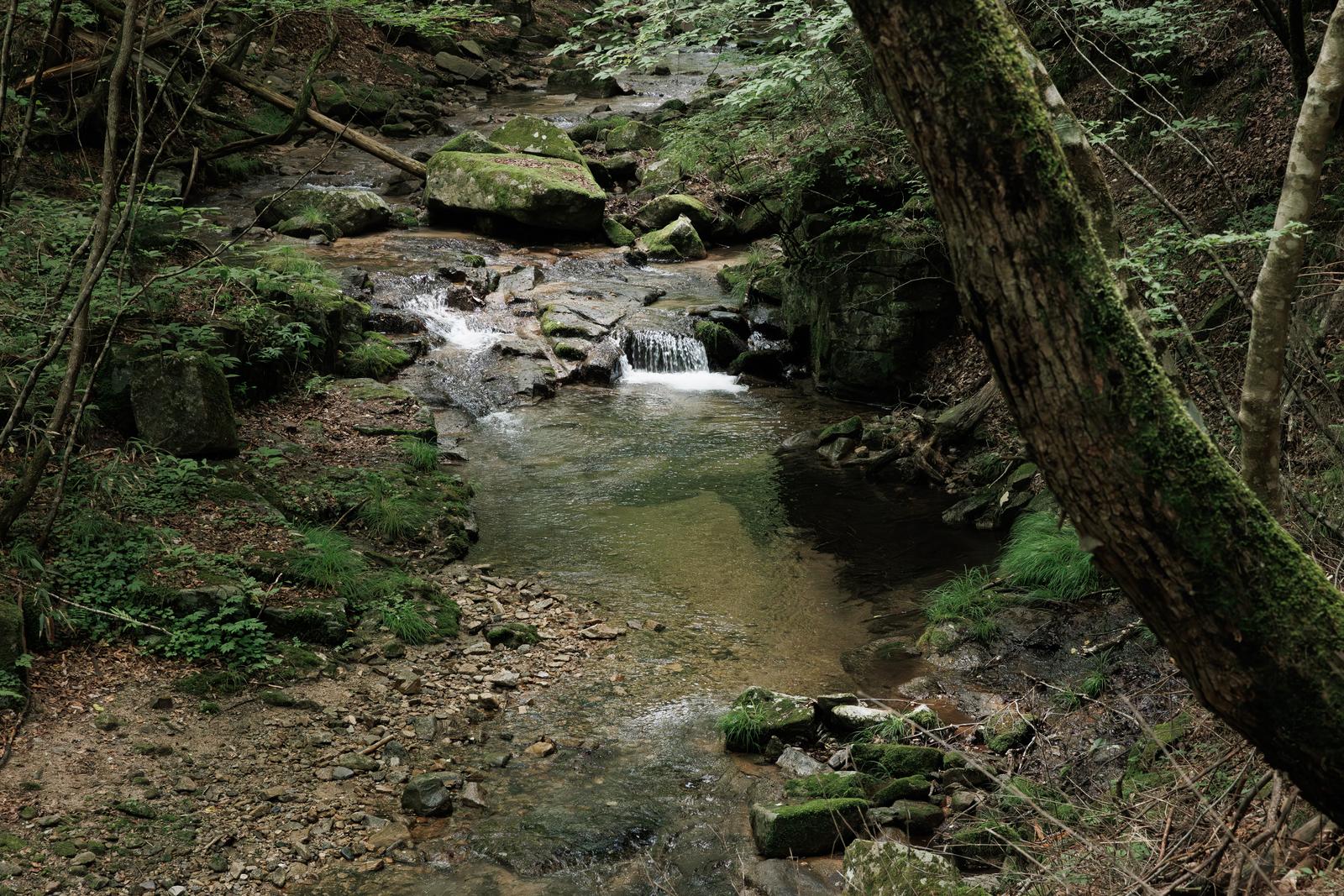 福島県田村市の行司ヶ滝の渓谷で、苔むした岩と清流が見える風景