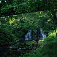 自然に包まれた天栄村の明神滝と朽木の橋、清流と苔むした岩の風景の写真