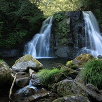 天栄村の明神滝が織りなす渓流の景観と苔むした岩肌の写真