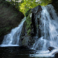 天栄村の明神滝から流れ落ちる迫力の水流と苔むした渓谷の写真