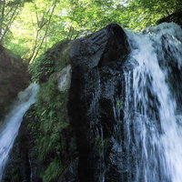 天栄村の明神滝で流れ落ちる水しぶきと苔むした岩の写真