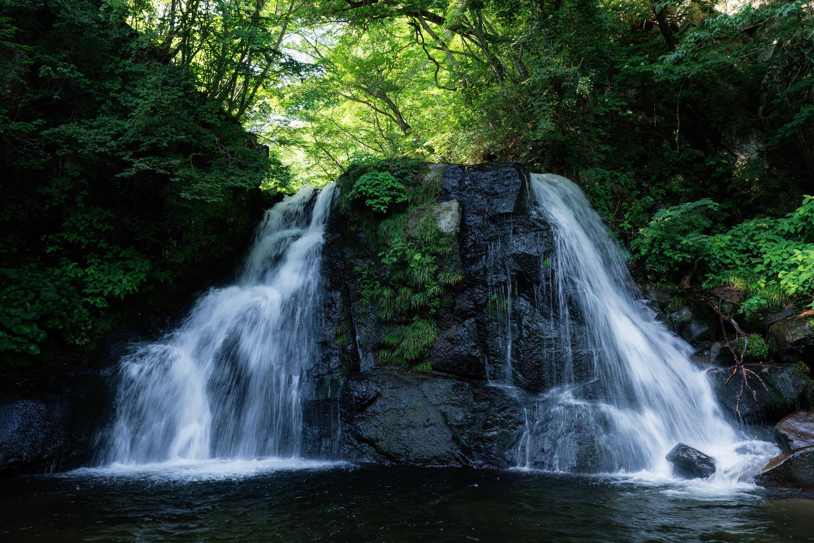 天栄村の明神滝から左右に流れ落ちる白い水、苔生す岩を包む深緑の森