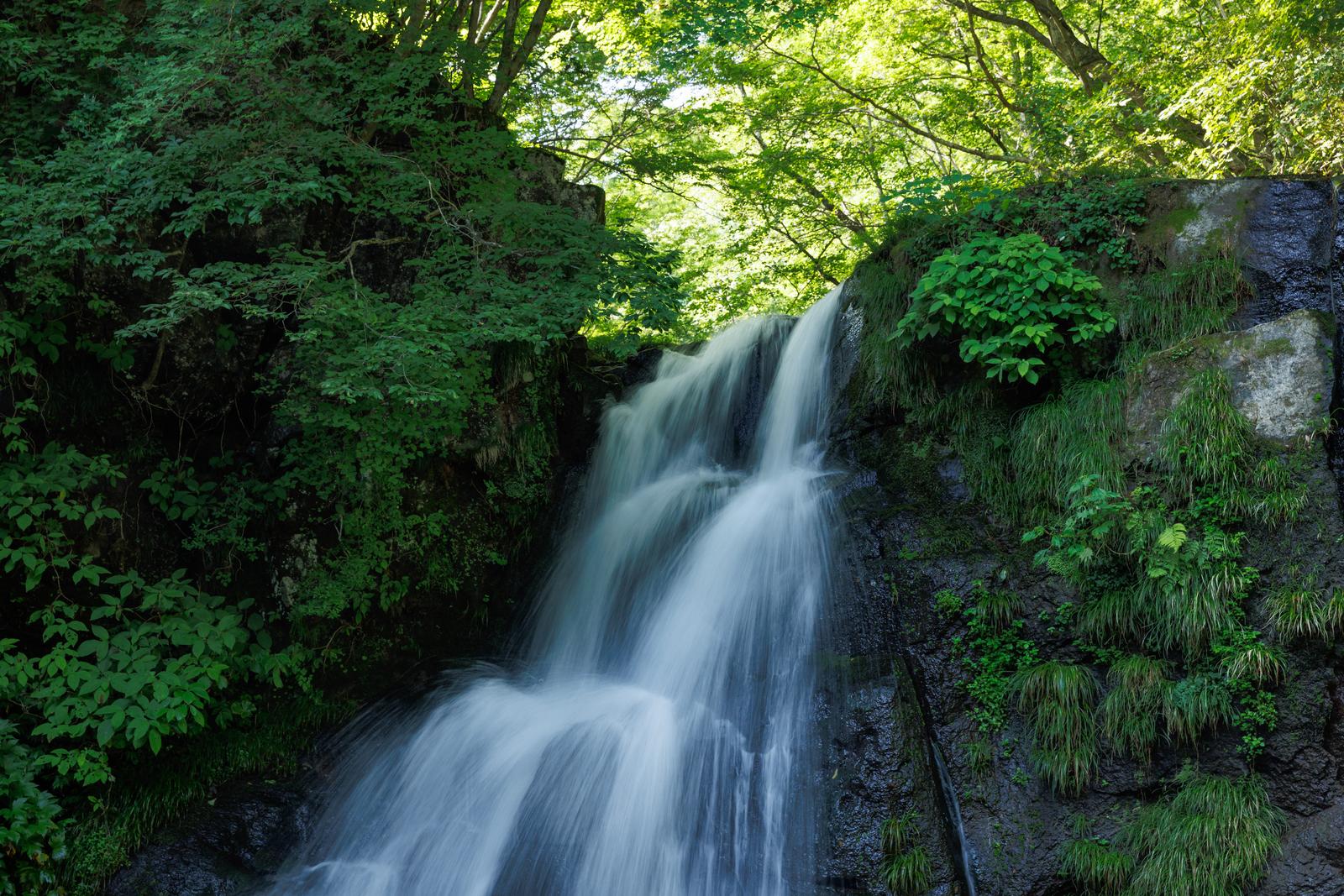 Myojin Falls in Tsukinami Village, Fukushima Prefecture, Japan. A two-tiered waterfall flowing down a moss-covered rock wall.