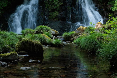 天栄村の明神滝で苔むした岩と浅瀬の植物、渓流の流れ