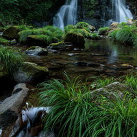 天栄村の明神滝と苔むした岩、清流のせせらぎの写真