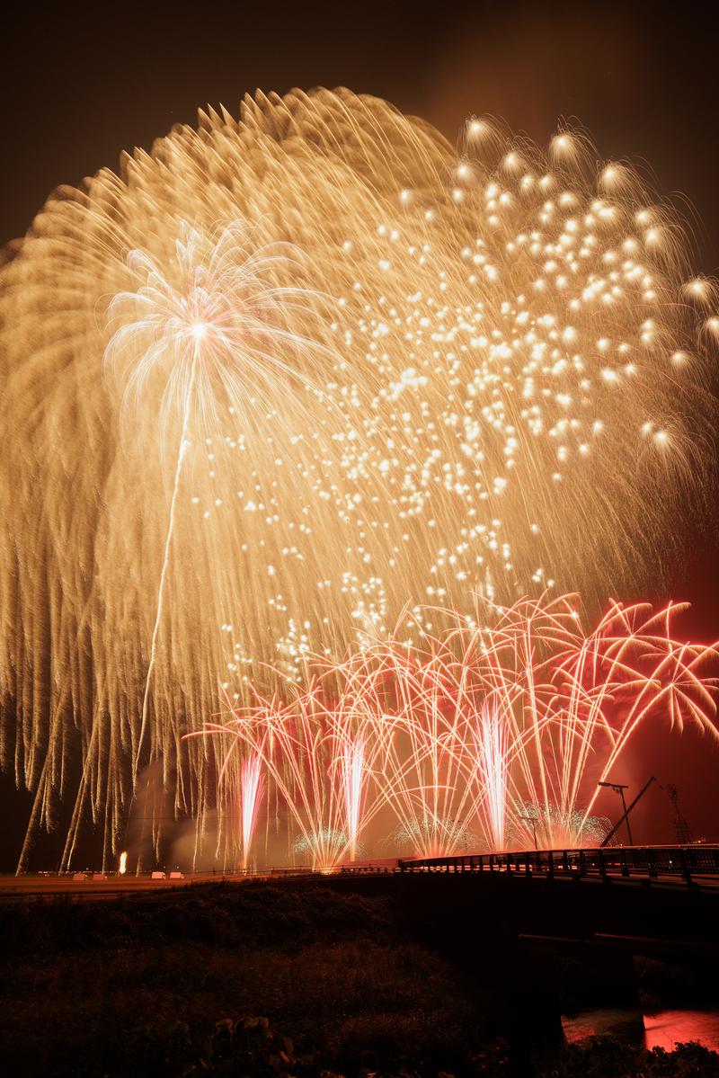 夜空に大きく開く黄金色と赤色の花火の光跡