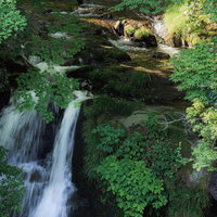 天栄村の明神滝、静寂に包まれた瀧と青々とした渓流の写真