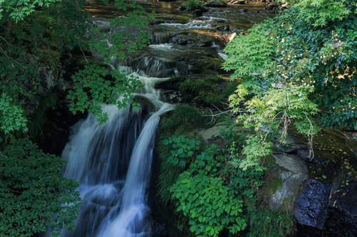 天栄村の明神滝を囲む新緑と流れ落ちる滝の清流