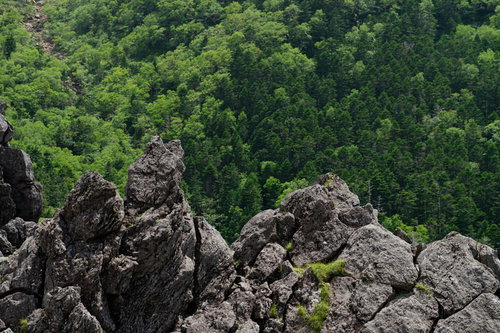 八ヶ岳連峰・天狗岳の岩稜と天狗ノ奥庭の岩場風景