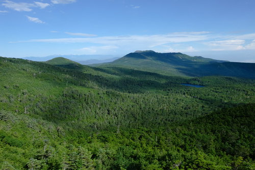 にゅうから望む白駒の森と連なる山々の雄大な風景