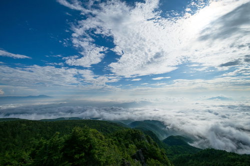 にゅうから眺めた雲海と白駒の森の景色