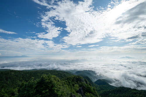 にゅうから望む白駒の森と雲海、青空に浮かぶ白い雲