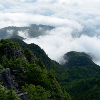 にゅう山頂の立ち込める雲海と白駒の森の雄大な景観の写真