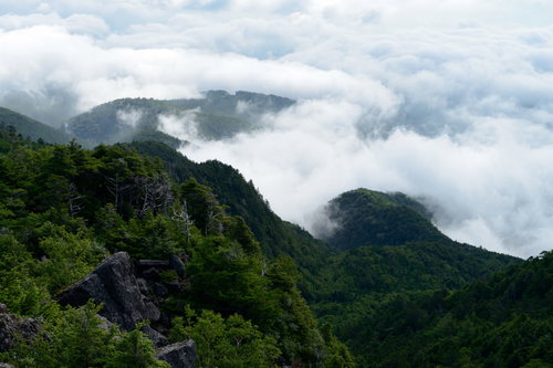 にゅう山頂の立ち込める雲海と白駒の森の雄大な景観