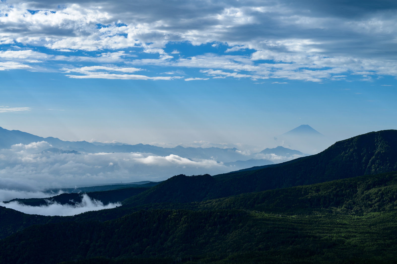 白駒の森の樹林に降り注ぐ天使のはしご（薄明光線）