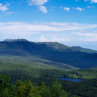 白駒の森に落ちる雲の影と青空の風景の写真