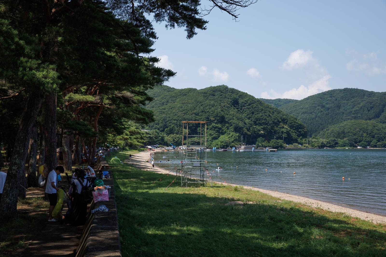 郡山市の舟津公園で松の樹下でくつろぐ家族連れと湖畔で泳ぐ人々