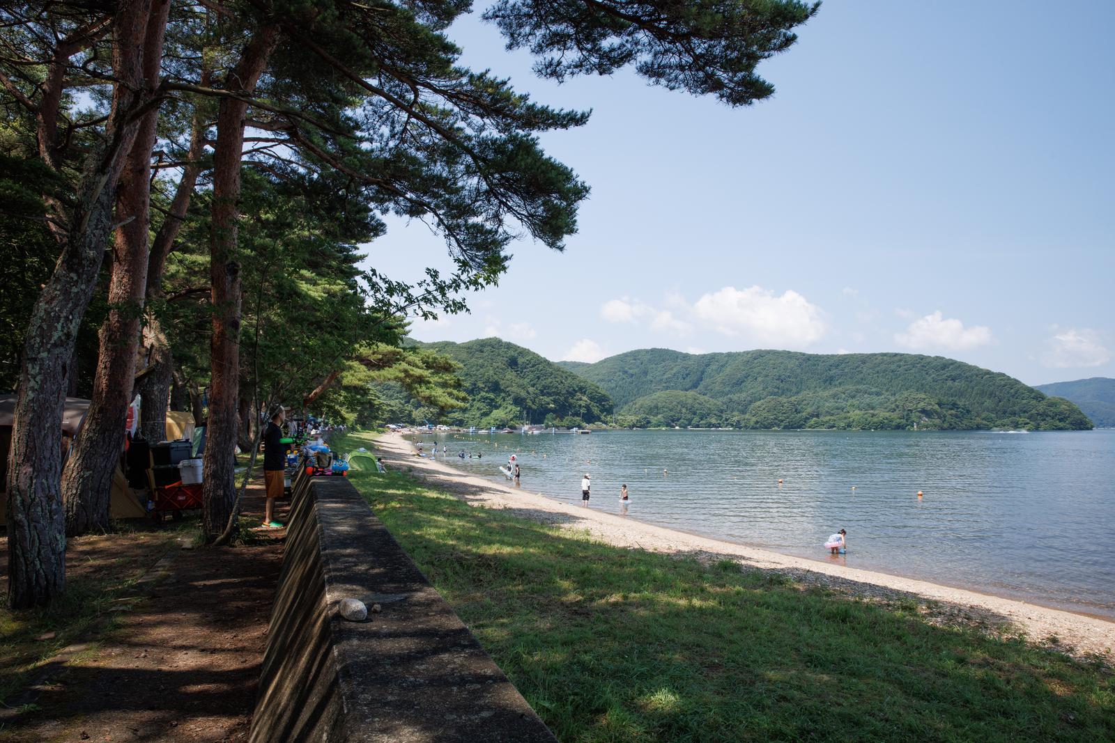 People camping and swimming at the lakeside of Funamatsu Park, with large pine trees overlooking the shore