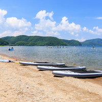 猪苗代湖の舟津浜に並ぶSUPボードと夏の海水浴風景の写真