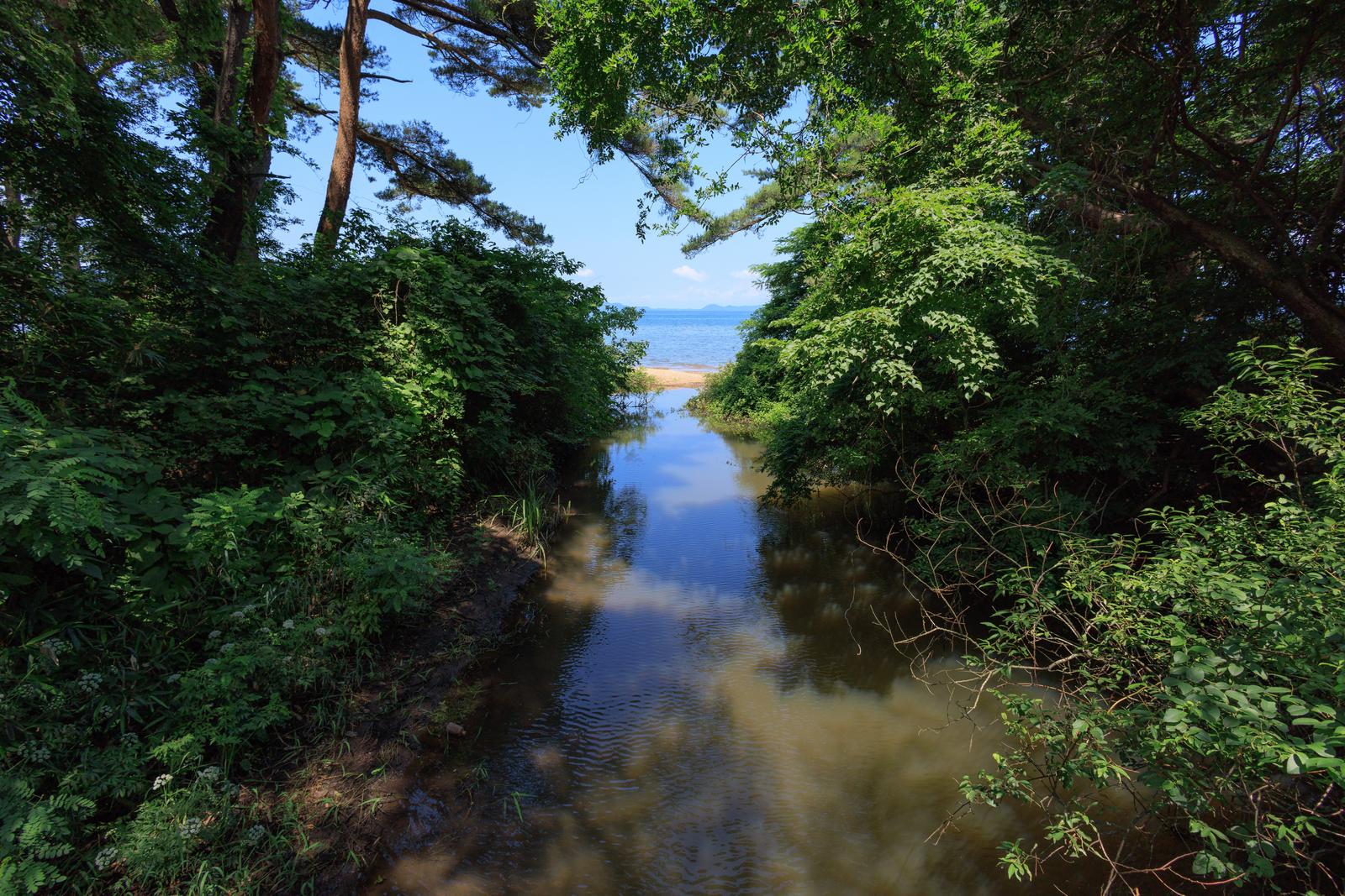 木々に囲まれた湖畔から見た猪苗代湖の広大な水面と青い空