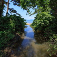 木々の間を抜けると広がる猪苗代湖の広大な水面の写真