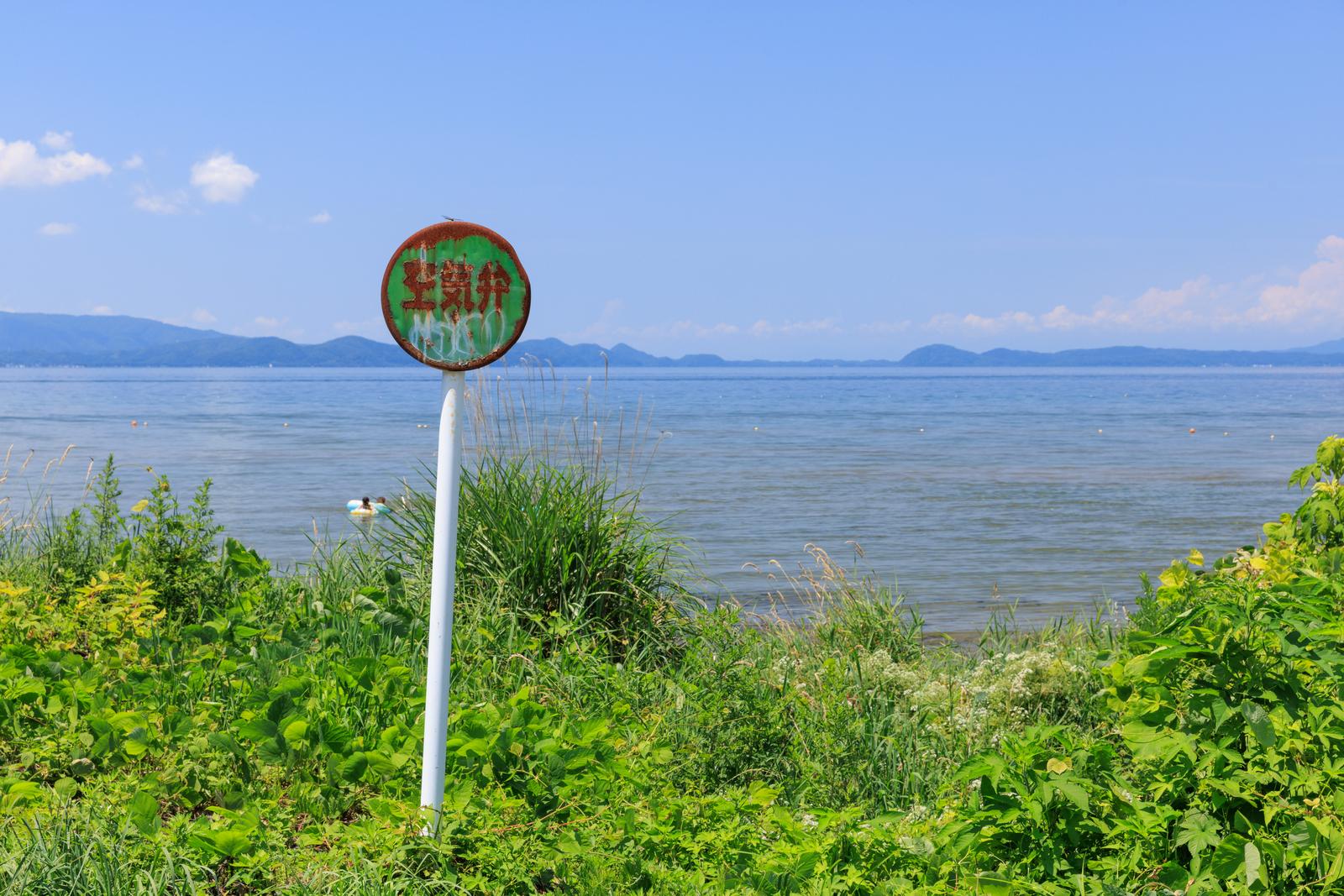 猪苗代湖の湖畔に立つ赤い空気弁看板。周囲は緑の水辺の植物に囲まれている