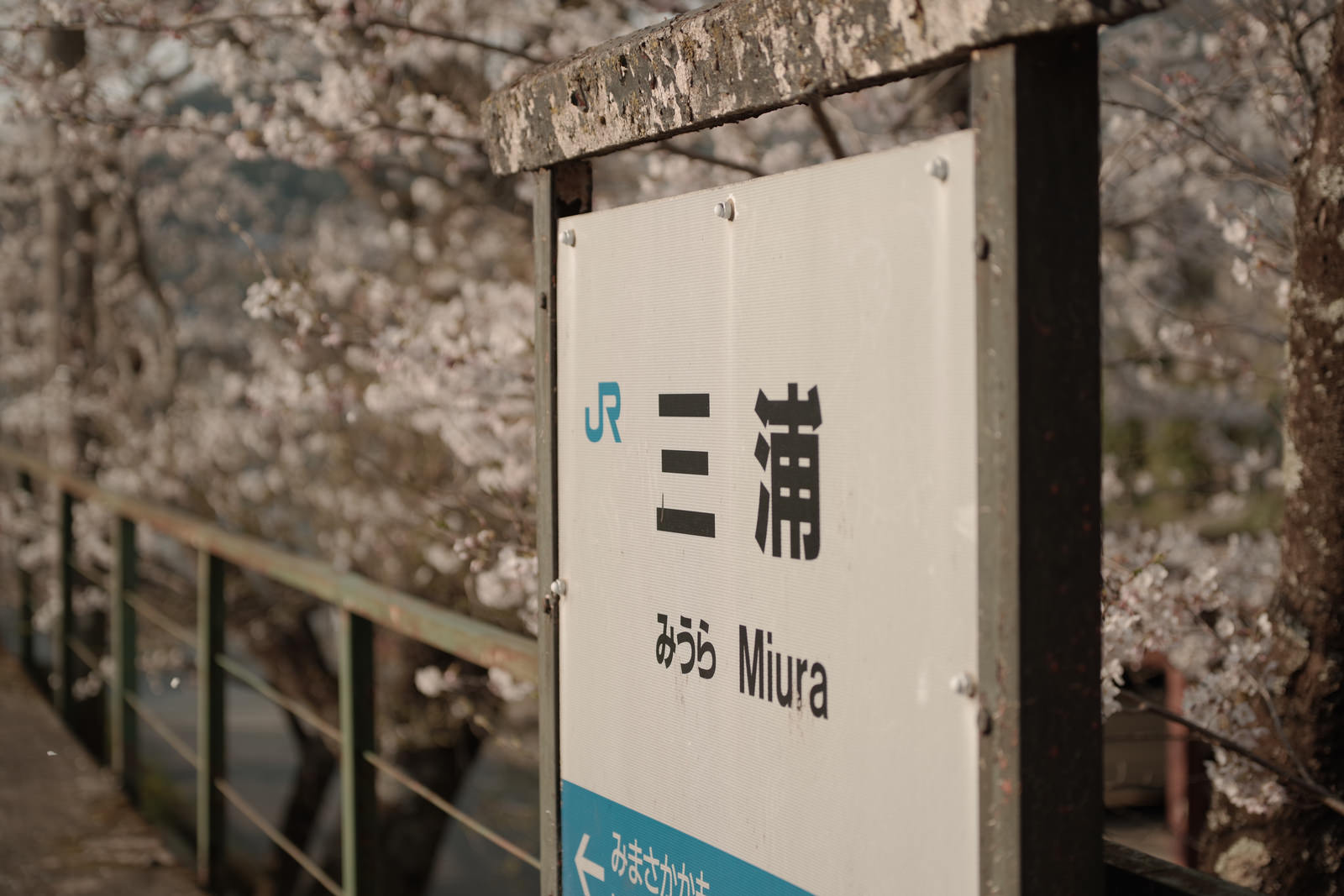 因美線三浦駅の駅名標と桜の花が咲いている駅舎の風景
