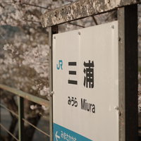 因美線三浦駅の駅名標と満開の桜の春景色の写真