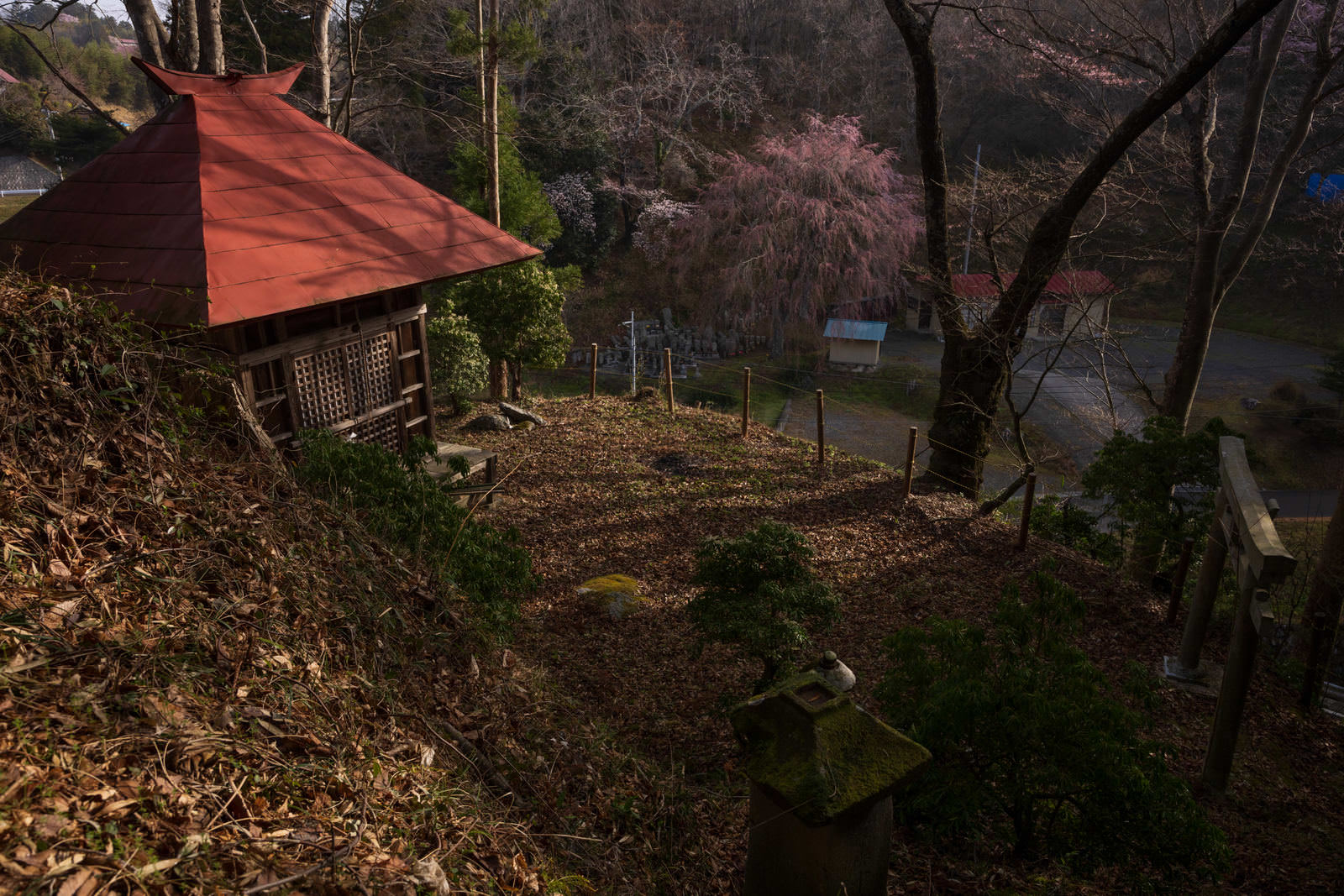 赤い屋根のお堂がある境内で、木々の影が地面に伸びている春の風景