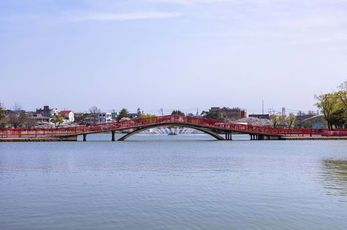開成山公園の五十鈴湖に架かる赤い橋越しに見える満開の桜