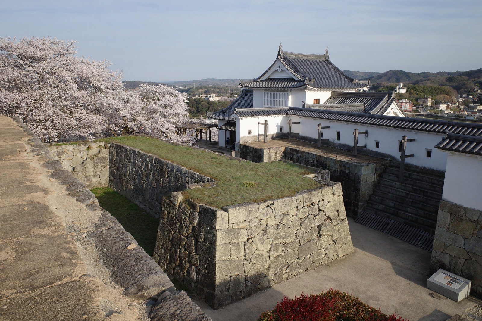 津山城跡の備中櫓と満開の桜の大木が並ぶ風景