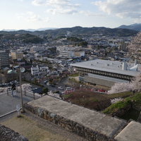 津山城跡の鶴山公園から眺める津山文化センターと街並みの写真