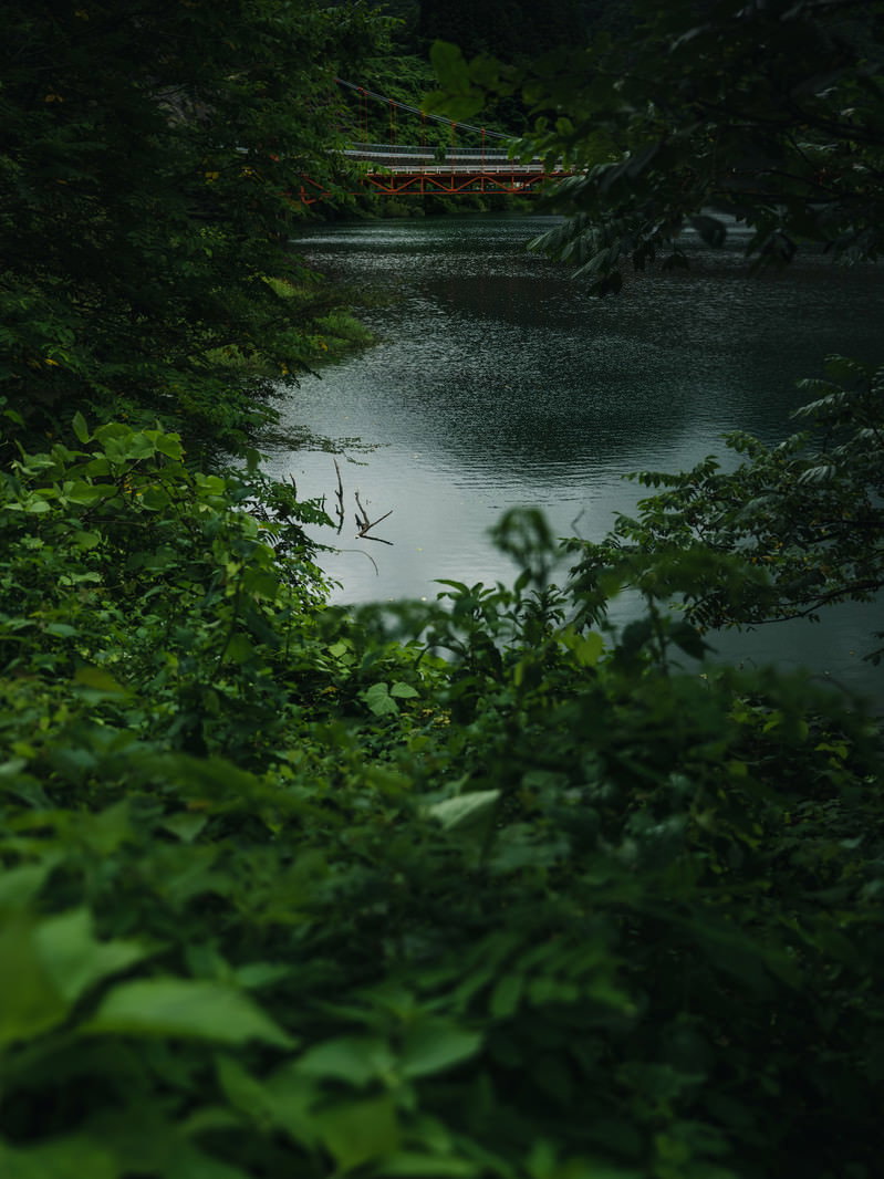 緑の木々の間から川に架かる橋が見える自然豊かな風景