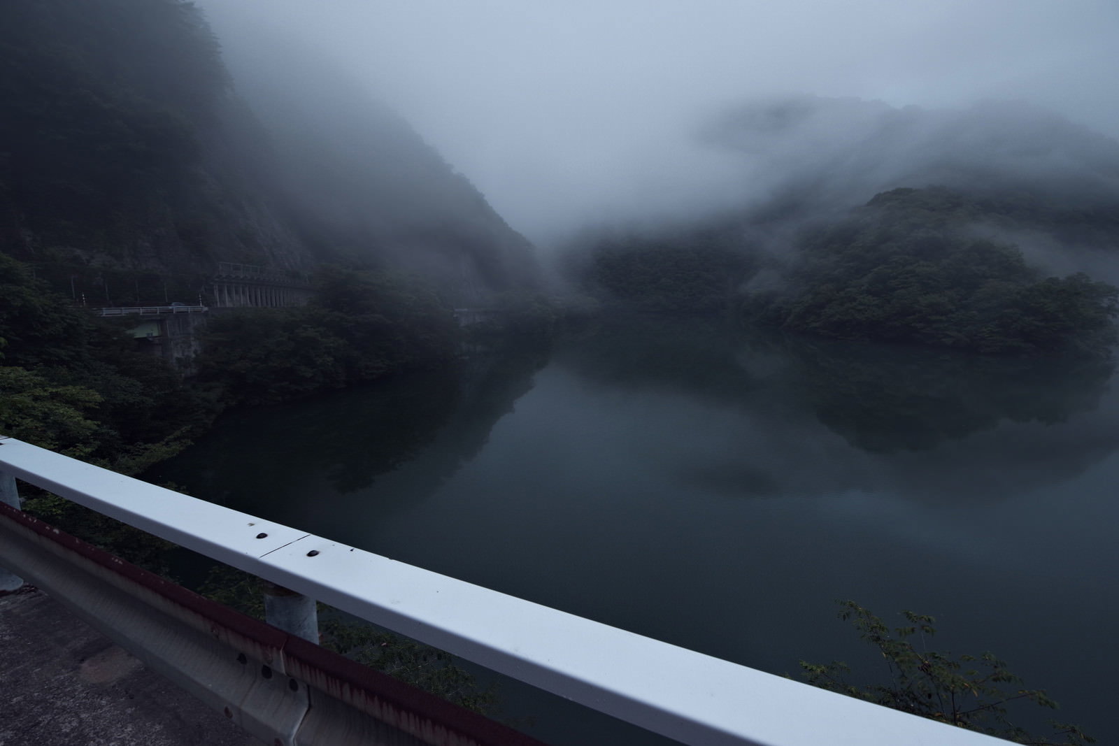 霧に包まれた山間の湖を白い手摺越しに眺める風景