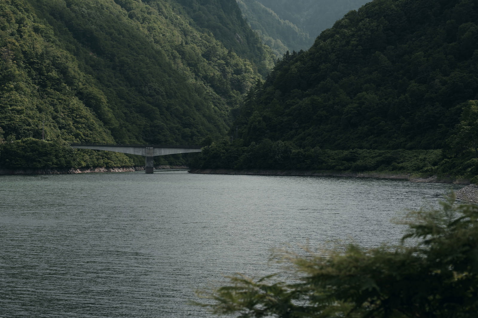 深い緑の山々に囲まれた庄川峡に架かる橋と穏やかな水面